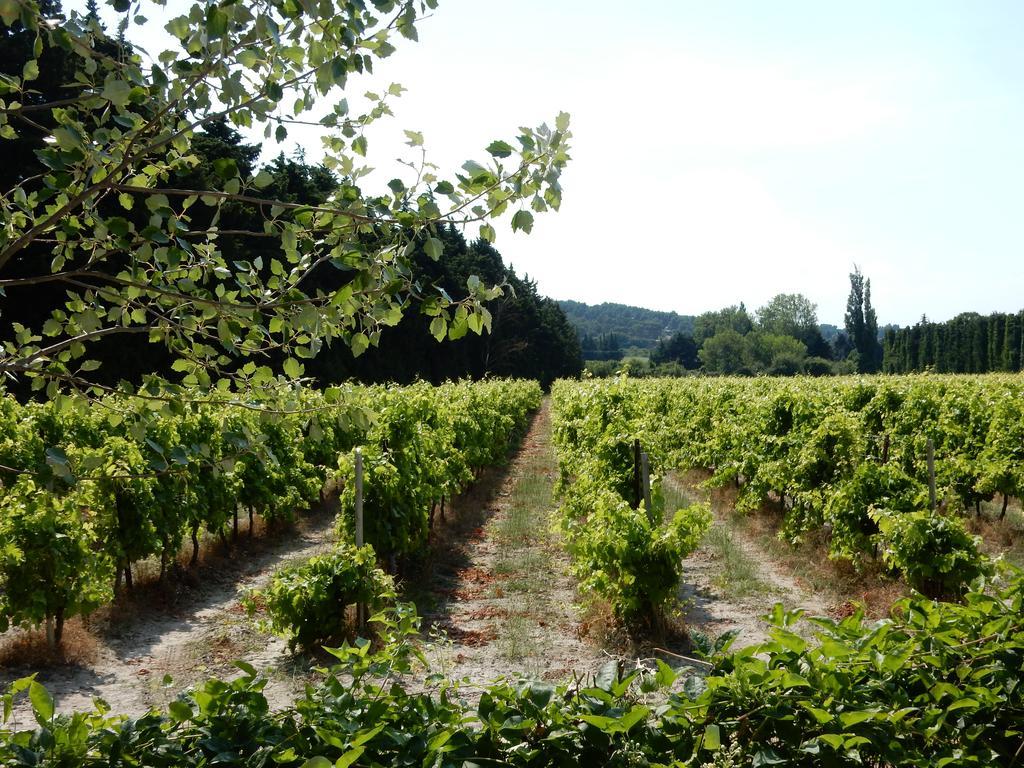 Domaine De Blanche Fleur Hotel Châteauneuf-de-Gadagne Екстериор снимка
